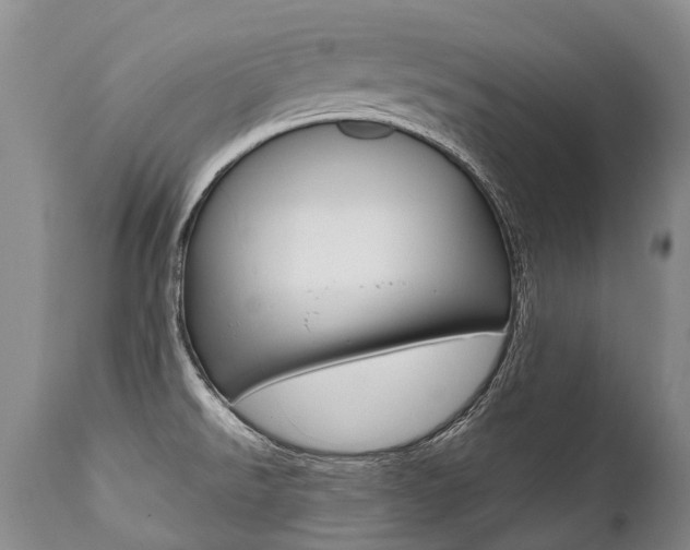X0000112001526200908031034