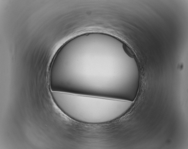 X0000112001527200908031034