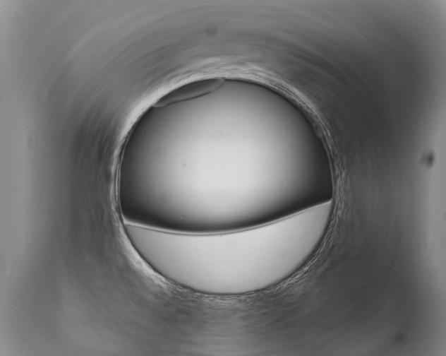 X0000112001528200908031034