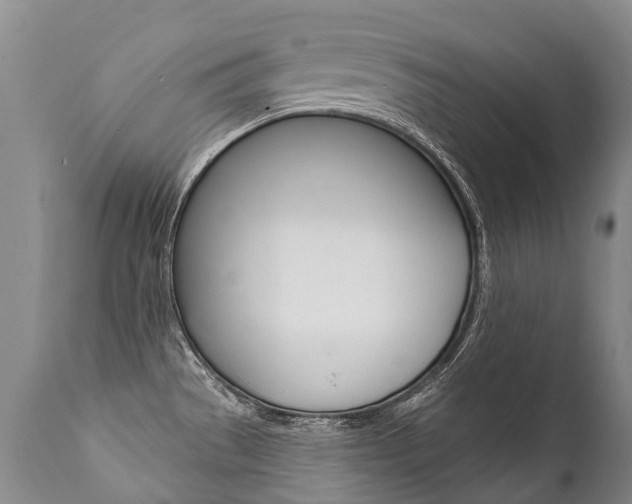 X0000112001529200908031034