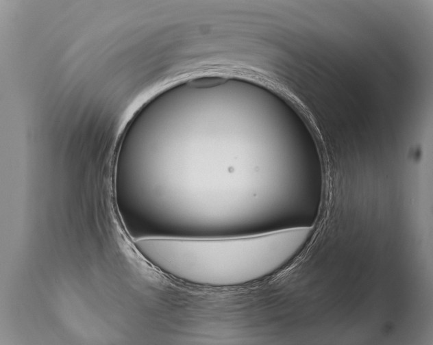 X0000112001530200908031034