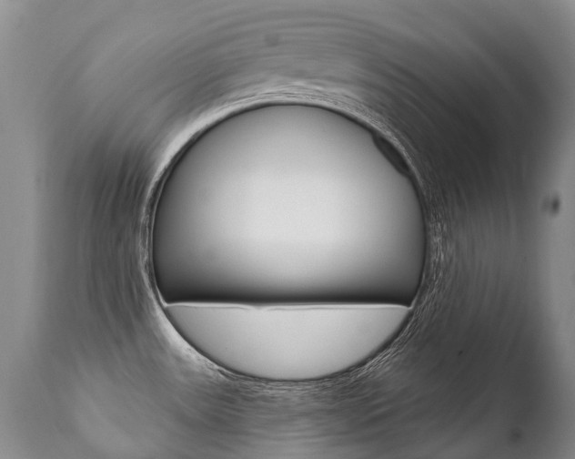 X0000112001531200908031034