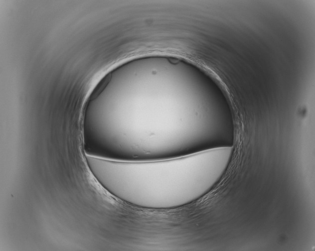 X0000112001532200908031034
