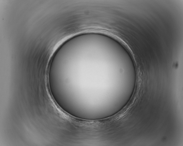 X0000112001533200908031034