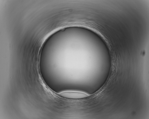X0000112001534200908031034