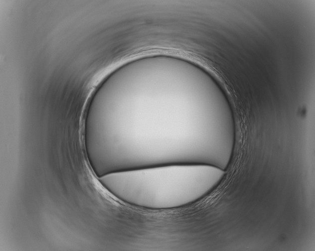 X0000112001535200908031034