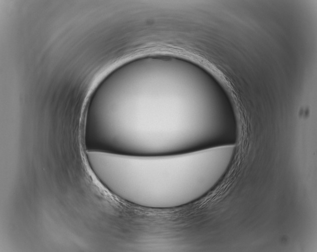 X0000112001536200908031034