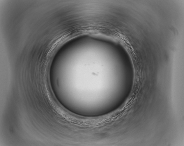 X0000112000001200908031238