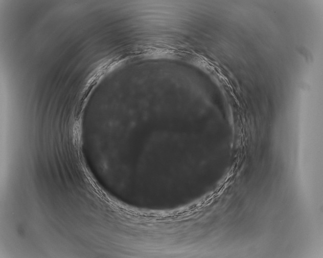 X0000112000002200908031238