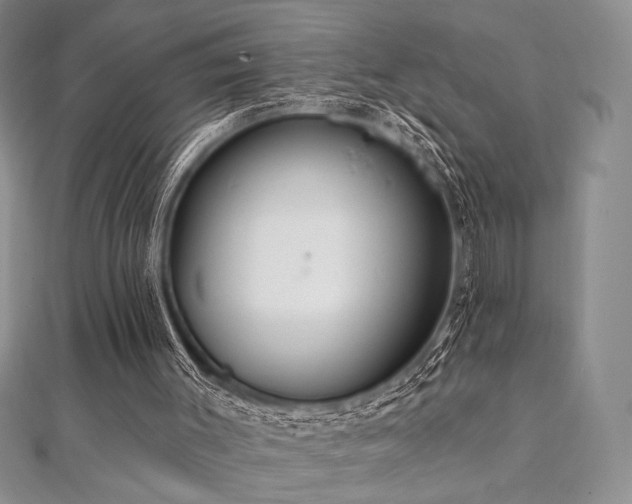 X0000112000003200908031238