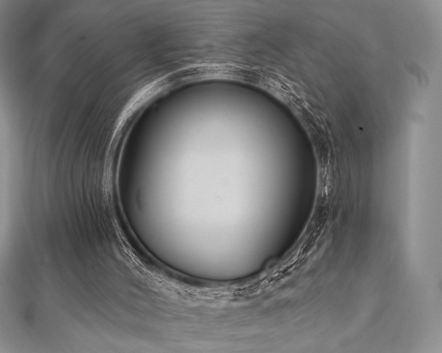 X0000112000004200908031238