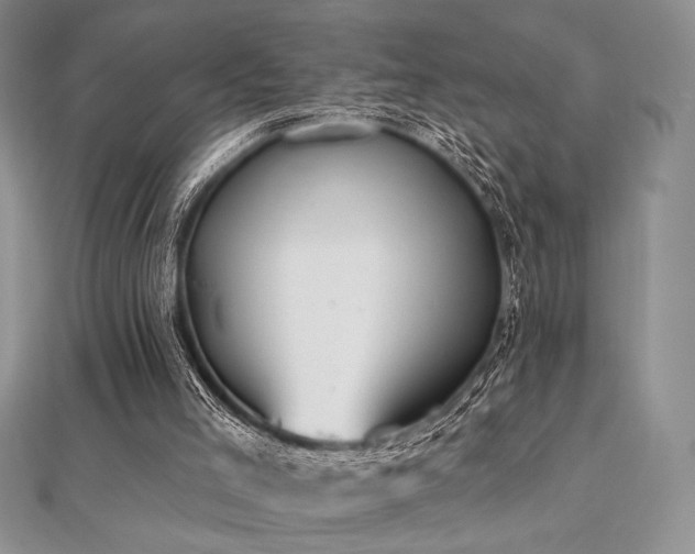 X0000112000005200908031238