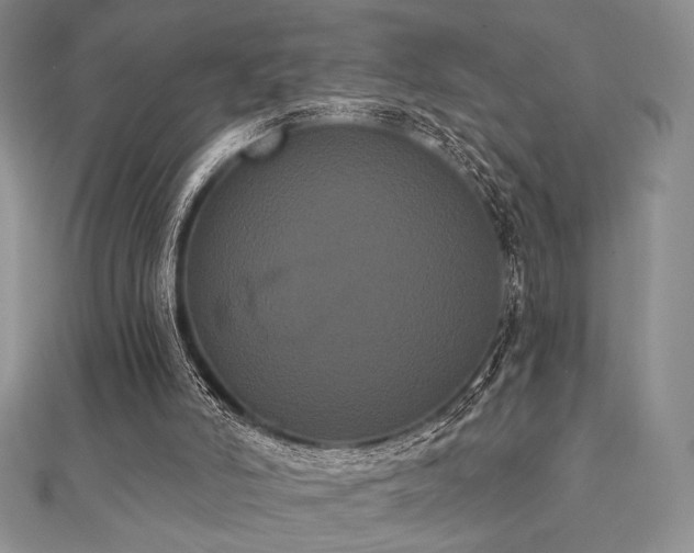 X0000112000006200908031238