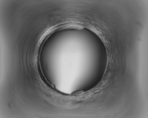 X0000112000007200908031238