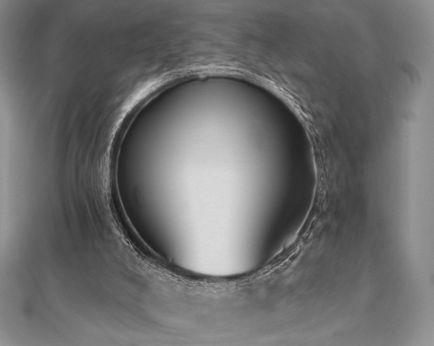 X0000112000008200908031238