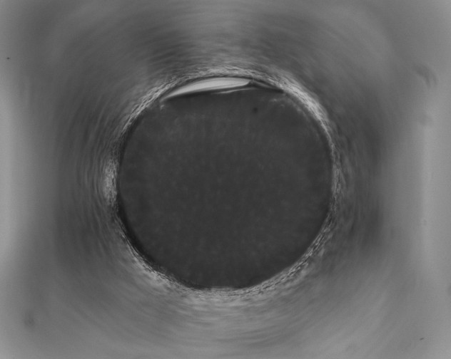 X0000112000009200908031238