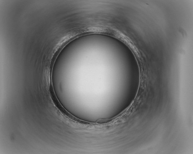 X0000112000011200908031238