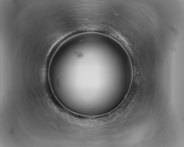 X0000112000012200908031238