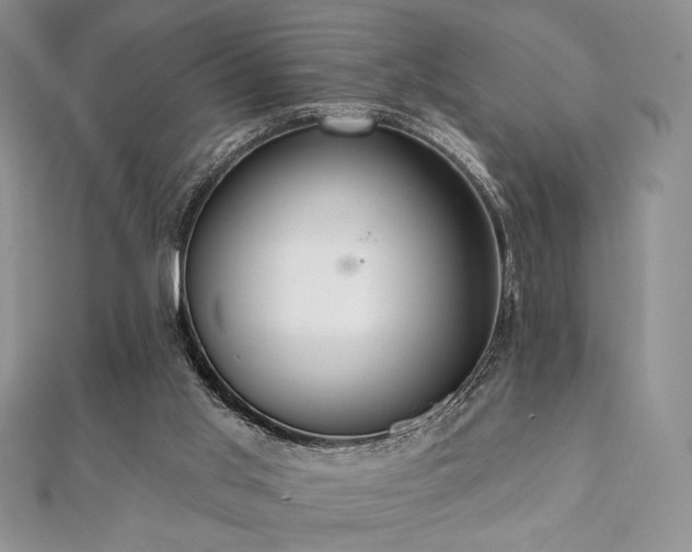 X0000112000013200908031238