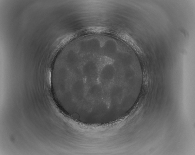 X0000112000014200908031238