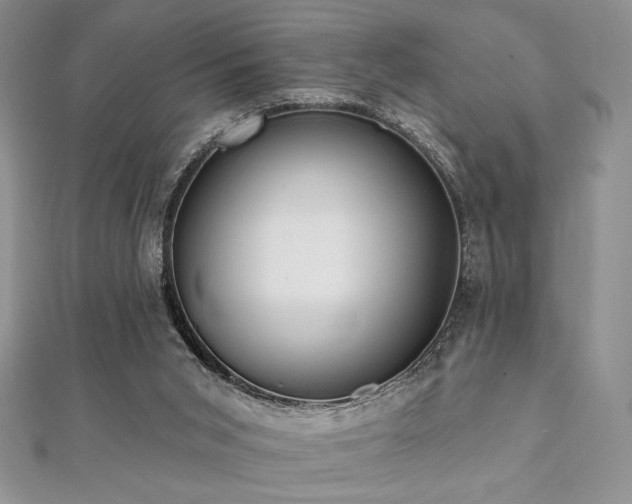 X0000112000015200908031238