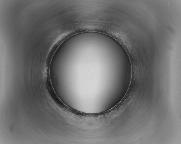 X0000112000016200908031238