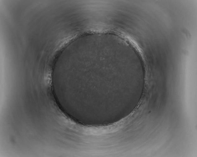 X0000112000017200908031238