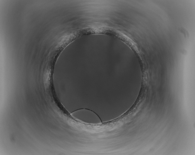 X0000112000018200908031238