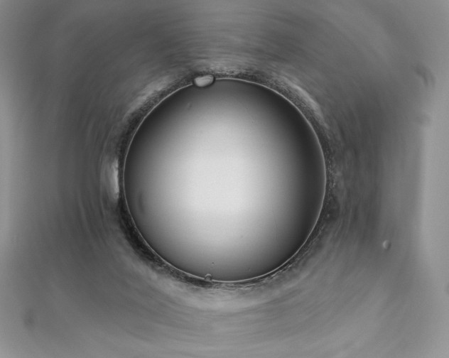 X0000112000020200908031238