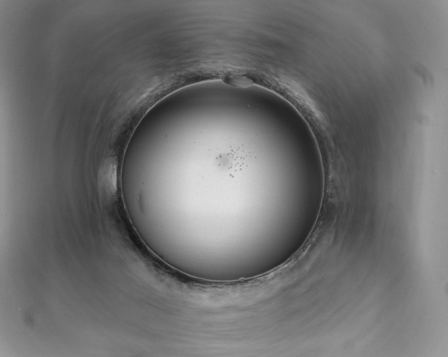 X0000112000021200908031238