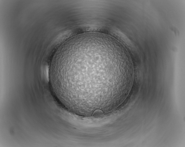 X0000112000022200908031238