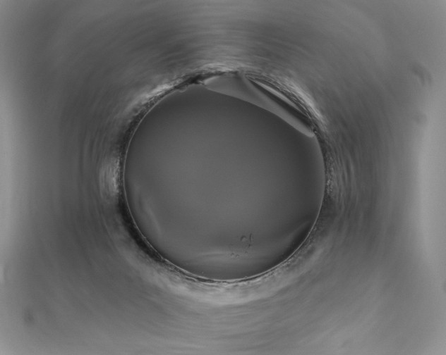 X0000112000023200908031238