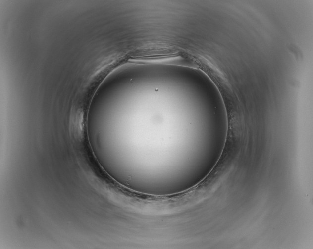 X0000112000024200908031238