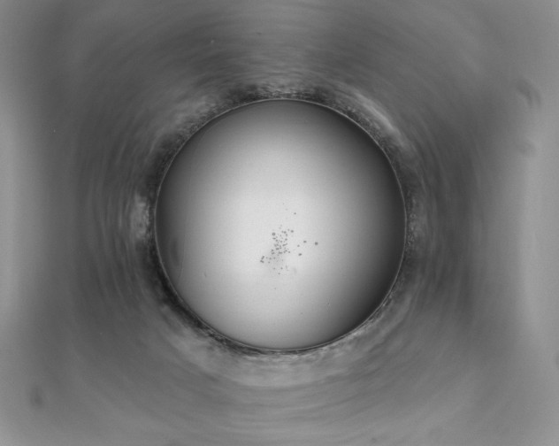 X0000112000025200908031238