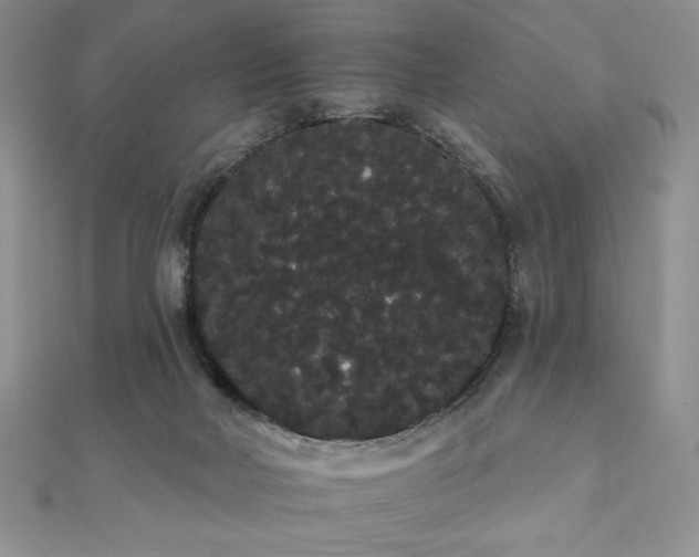 X0000112000026200908031238