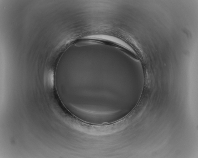 X0000112000027200908031238