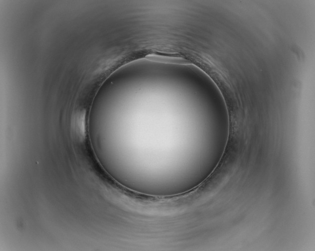 X0000112000028200908031238