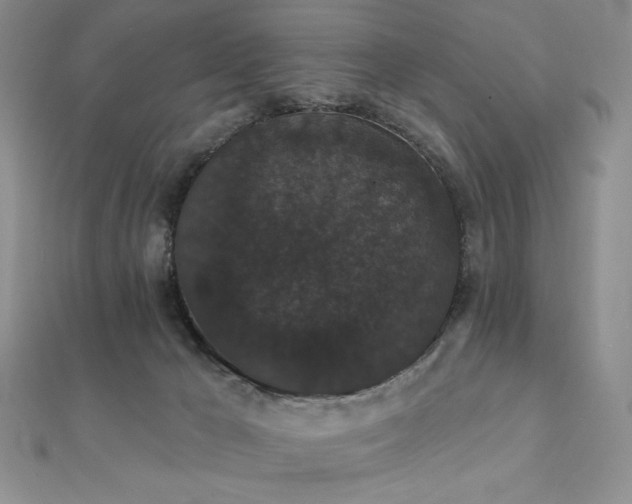 X0000112000029200908031238