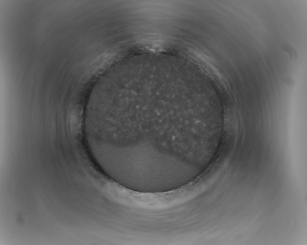 X0000112000030200908031238