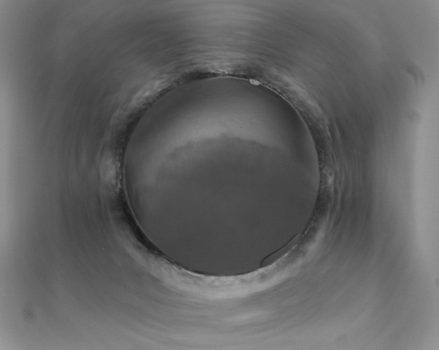 X0000112000031200908031238