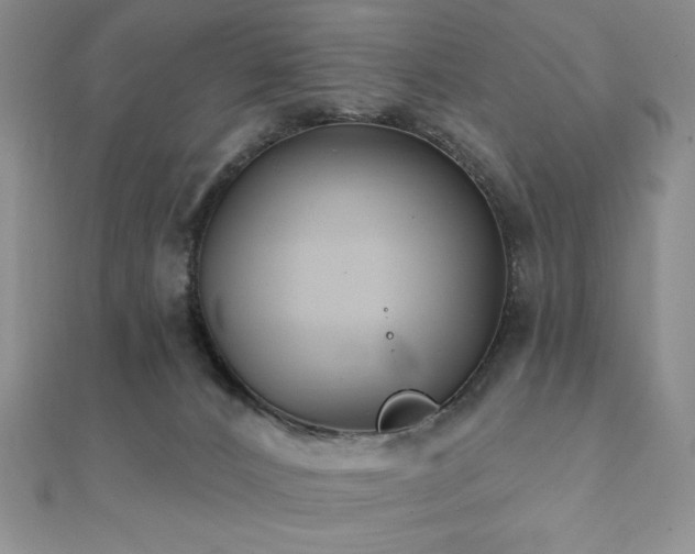 X0000112000032200908031238