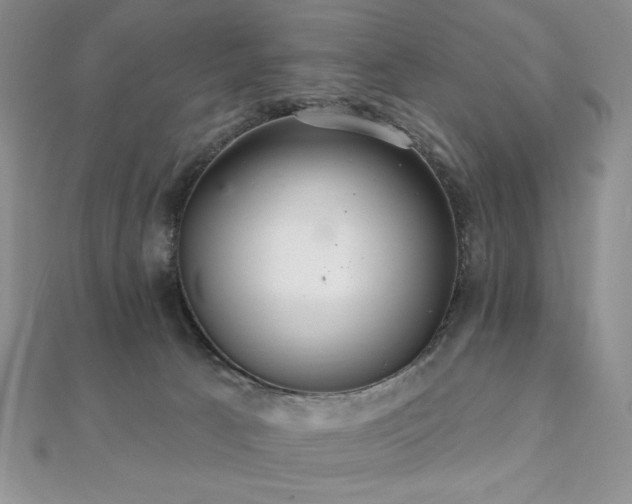 X0000112000033200908031238