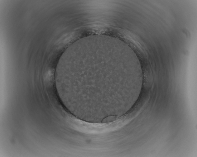 X0000112000034200908031238