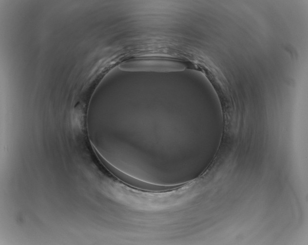 X0000112000035200908031238