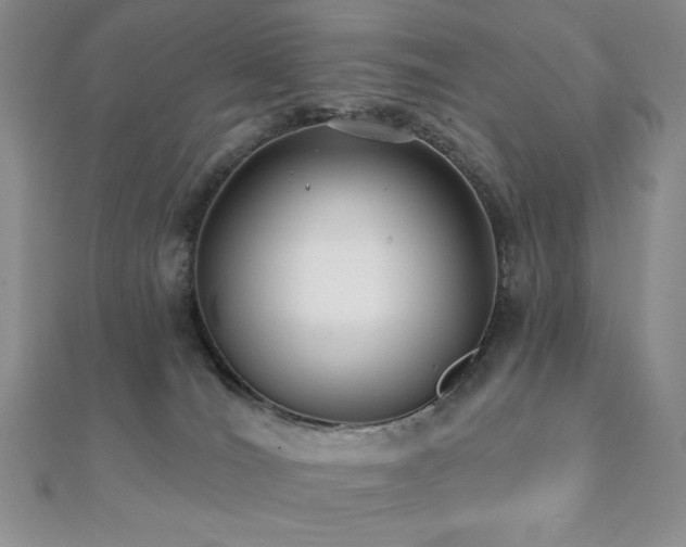 X0000112000036200908031238