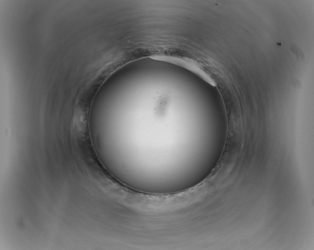 X0000112000037200908031238