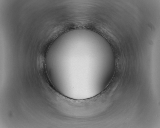 X0000112000038200908031238