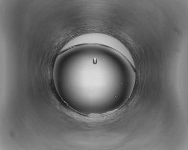 X0000112000039200908031238