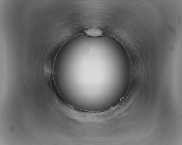 X0000112000040200908031238