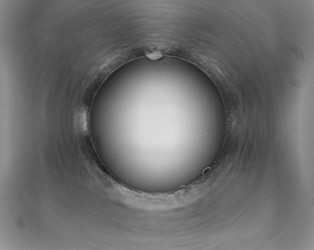 X0000112000042200908031238